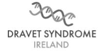 dravet syndrome ireland logo